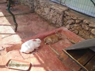 rsz_img_20190428_152708.jpg